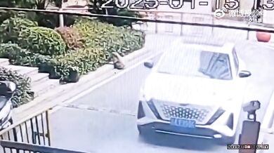 Dítě jen o vlásek přežilo přejetí vozem SUV