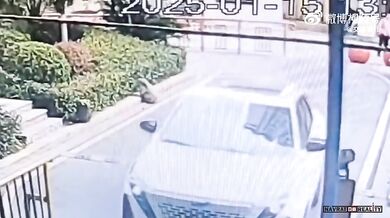 Dítě jen o vlásek přežilo přejetí vozem SUV