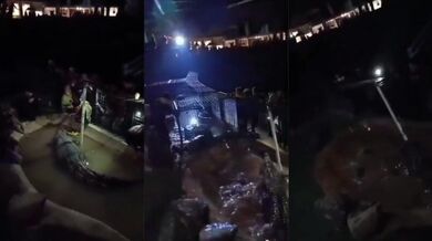 Krokodýl v zábavním parku napadl muže a stáhl ho do vody