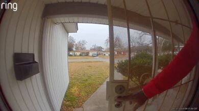 Agresivní veverka napadne muže vycházejícího z domu