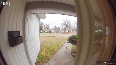 Agresivní veverka napadne muže vycházejícího z domu