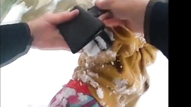 Podezřelý zatčen po honičce a nabourání policejních vozidel v Toledu