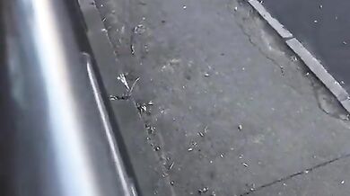 Nebezpečný obrubník