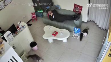 Narušení odpoledního odpočinku