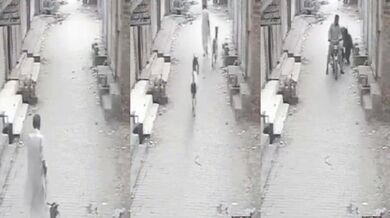 Krádež kozy na ulici