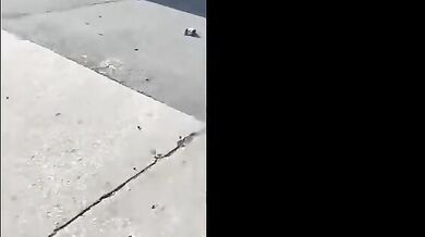 Tragická nehoda v Patersonu: Chodec se snažil uniknout SUV