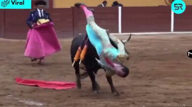 Býk v Mexiku brutálně napadl toreadora