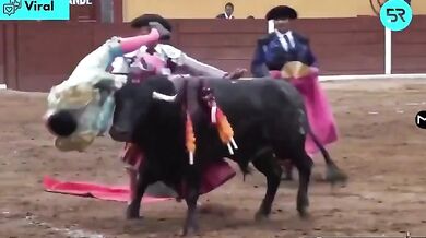 Býk v Mexiku brutálně napadl toreadora