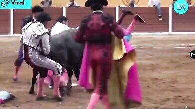 Býk v Mexiku brutálně napadl toreadora