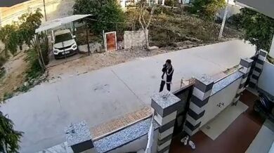 Smečka toulavých psů napadla osmnáctiletou dívku v Rádžasthánu