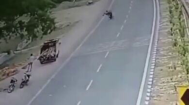 Střet se zvířetem na silnici