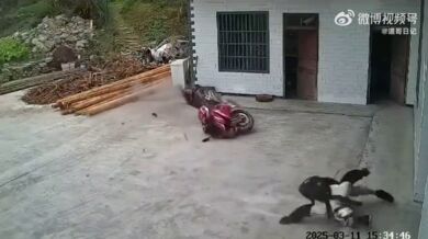 Přílet motorkáře