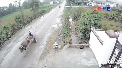 Nehoda při předjíždění