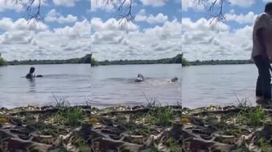 Kapybara napadla plavkyni v Kolumbii