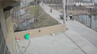 Kuriózní dopravní nehoda #5