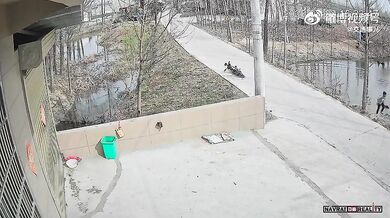 Kuriózní dopravní nehoda #5