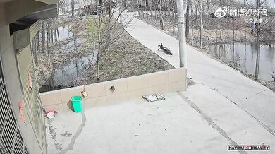 Kuriózní dopravní nehoda #5