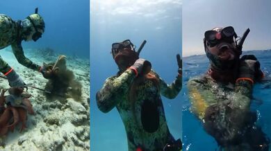 Rybař čelící útoku chobotnice