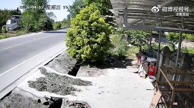 Kácení stromu u silnice