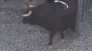 Rozzuřený býk zranil děti během velikonoční slavnosti ve Španělsku