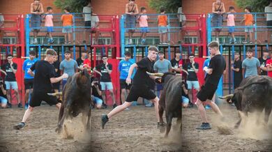 Začínající toreador