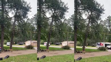 Téměř všechno proběhlo podle plánu...