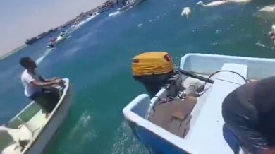 Přetížená loď s ovcemi se převrátila u Jemenu