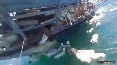 Přetížená loď s ovcemi se převrátila u Jemenu