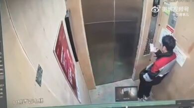 Napadení psem ve výtahu