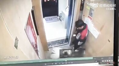 Napadení psem ve výtahu