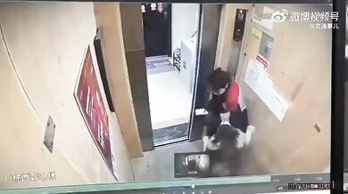 Napadení psem ve výtahu