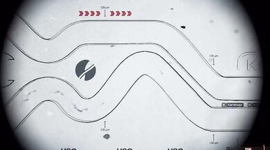 Teenager uspořádal první světový závod spermií – rodiče o tom neměli tušení