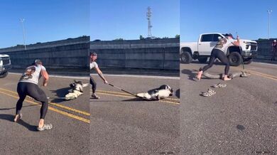 Zkušený lovec chytil krokodýla uprostřed silnice na Floridě