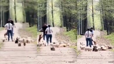 Větší klacek vyhrává...