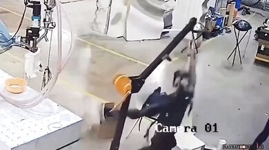 Ožívá konečně umělá inteligence?