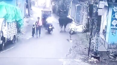 Býček se pokusil ukrást skútr