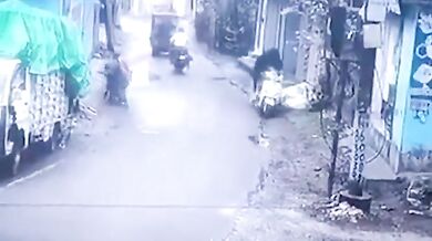 Býček se pokusil ukrást skútr