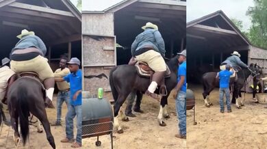 Trochu jiná váhová kategorie...