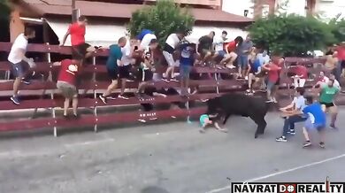 Mladík skončil pod kopyty dvou býků