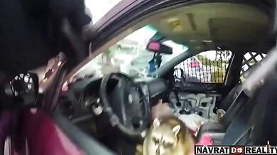 Policie zastavila auto a našla mývala s dýmkou na pervitin na sedadle řidiče