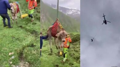 Švýcaři evakuují dobytek kvůli hrozbě sesuvu půdy v Alpách