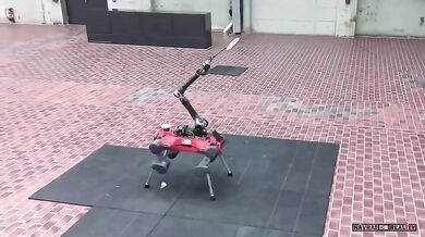 Čtyřnohý robotický hráč badmintonu