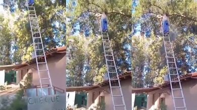 Neřež větev, o kterou se opíráš...