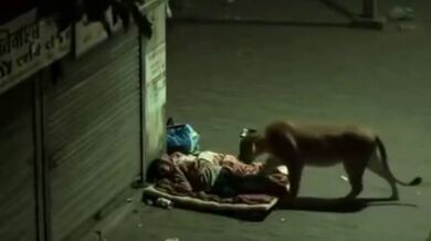 Napiš komentář nejlépe vystihující video #2