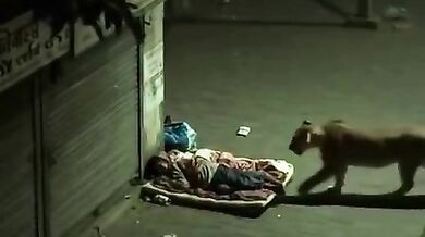 Napiš komentář nejlépe vystihující video #2