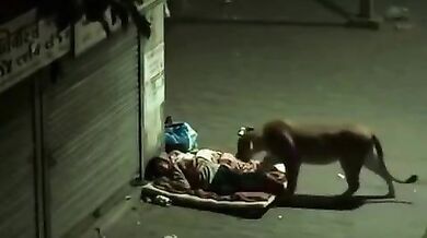 Napiš komentář nejlépe vystihující video #2