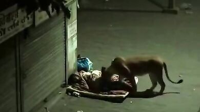 Napiš komentář nejlépe vystihující video #2