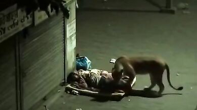 Napiš komentář nejlépe vystihující video #2