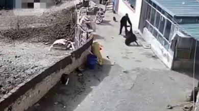 Muž se postavil útočícímu psovi