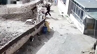 Muž se postavil útočícímu psovi